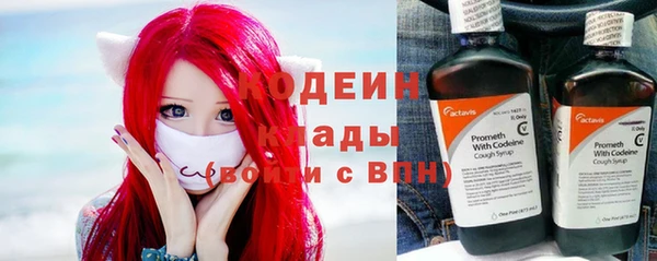 сатива Арсеньев