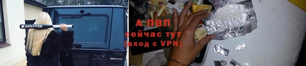 сатива Арсеньев