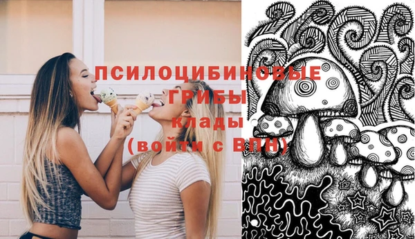 гидропоника Аркадак
