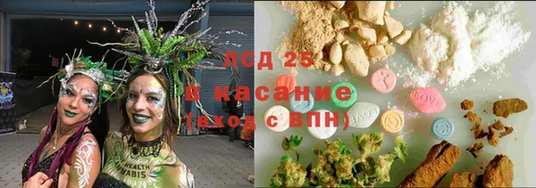 сатива Арсеньев