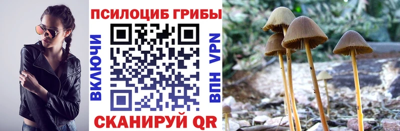 даркнет сайт  Нерюнгри  Псилоцибиновые грибы Magic Shrooms 