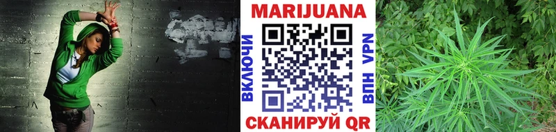 наркота  Нерюнгри  мориарти как зайти  Каннабис сатива 
